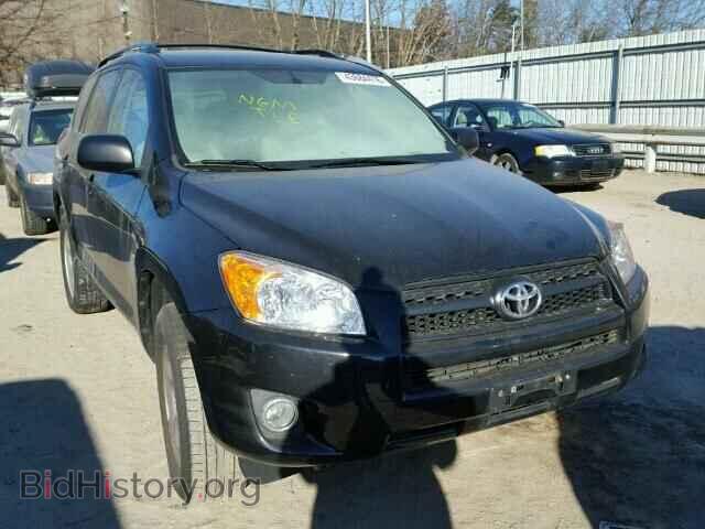 Фотография 2T3BF4DV7BW132059 - TOYOTA RAV4 2011