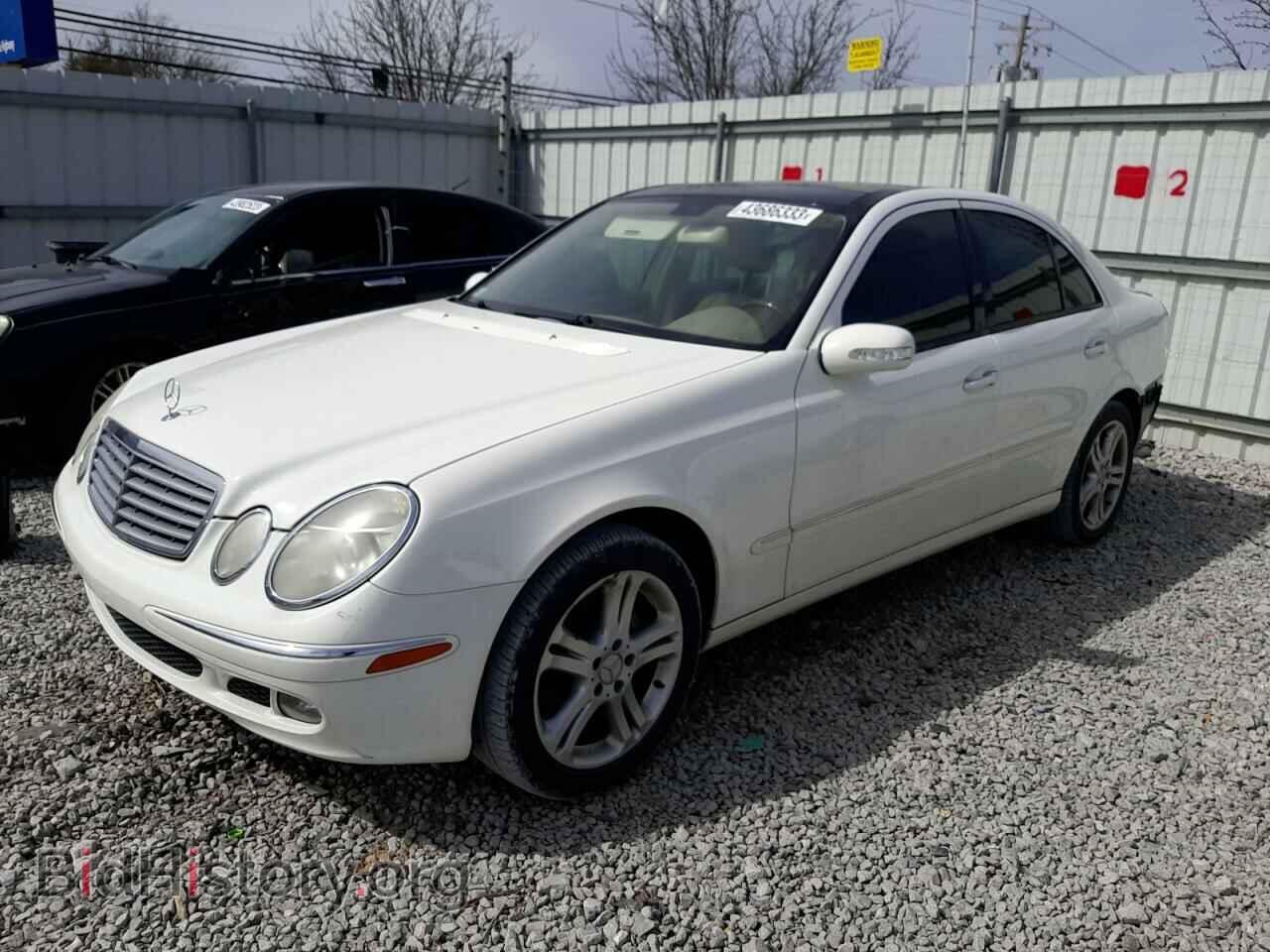 Фотография WDBUF56J16A828556 - MERCEDES-BENZ E-CLASS 2006