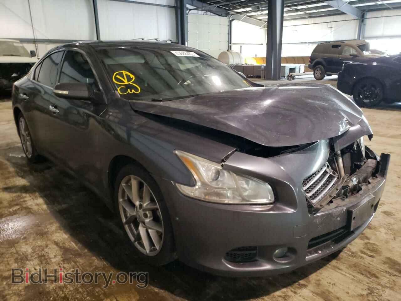 Photo 1N4AA5AP5AC804682 - NISSAN MAXIMA 2010