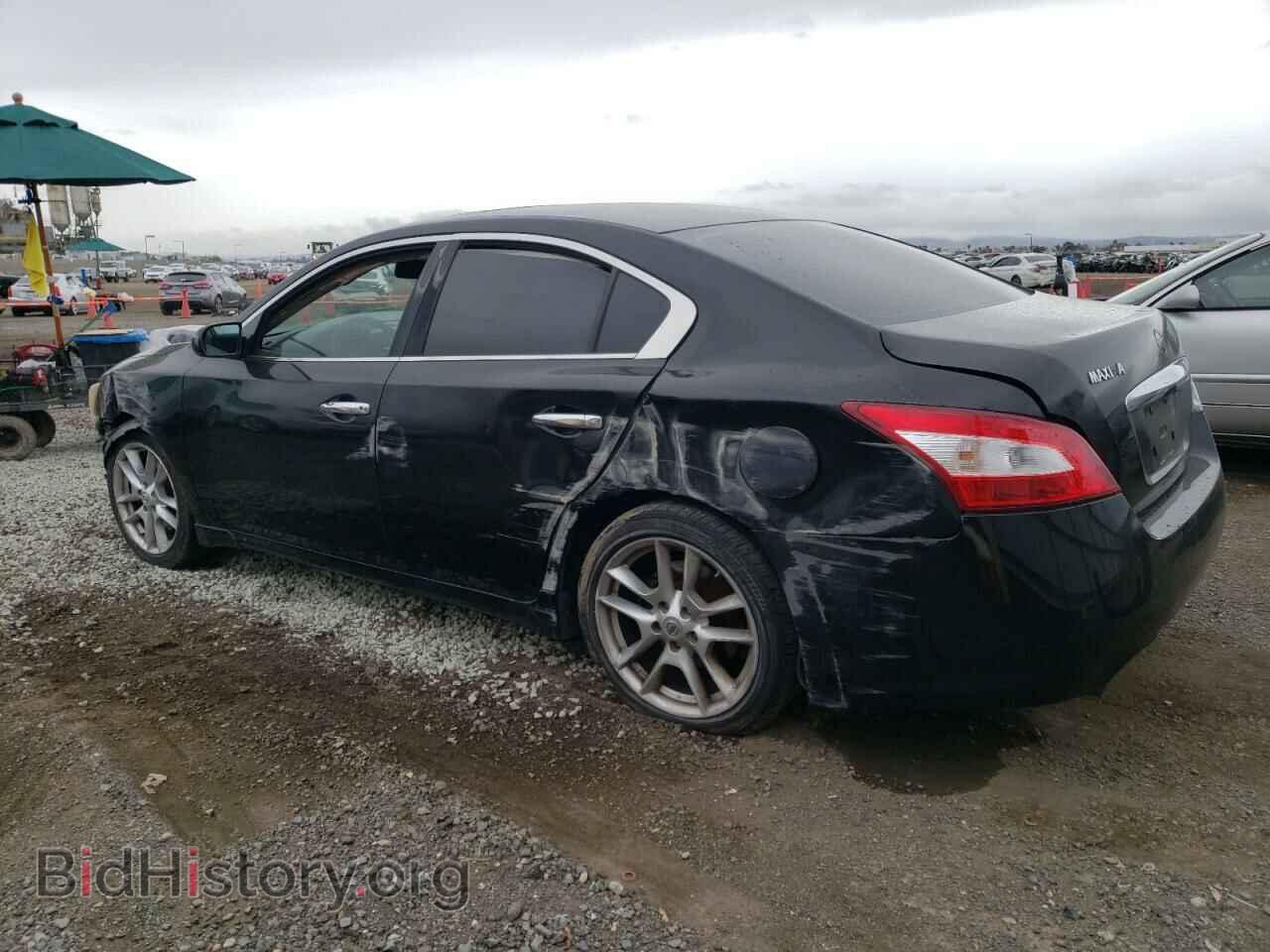 2011 NISSAN MAXIMA - VIN: 1N4AA5AP0BC836568 - Фото 2