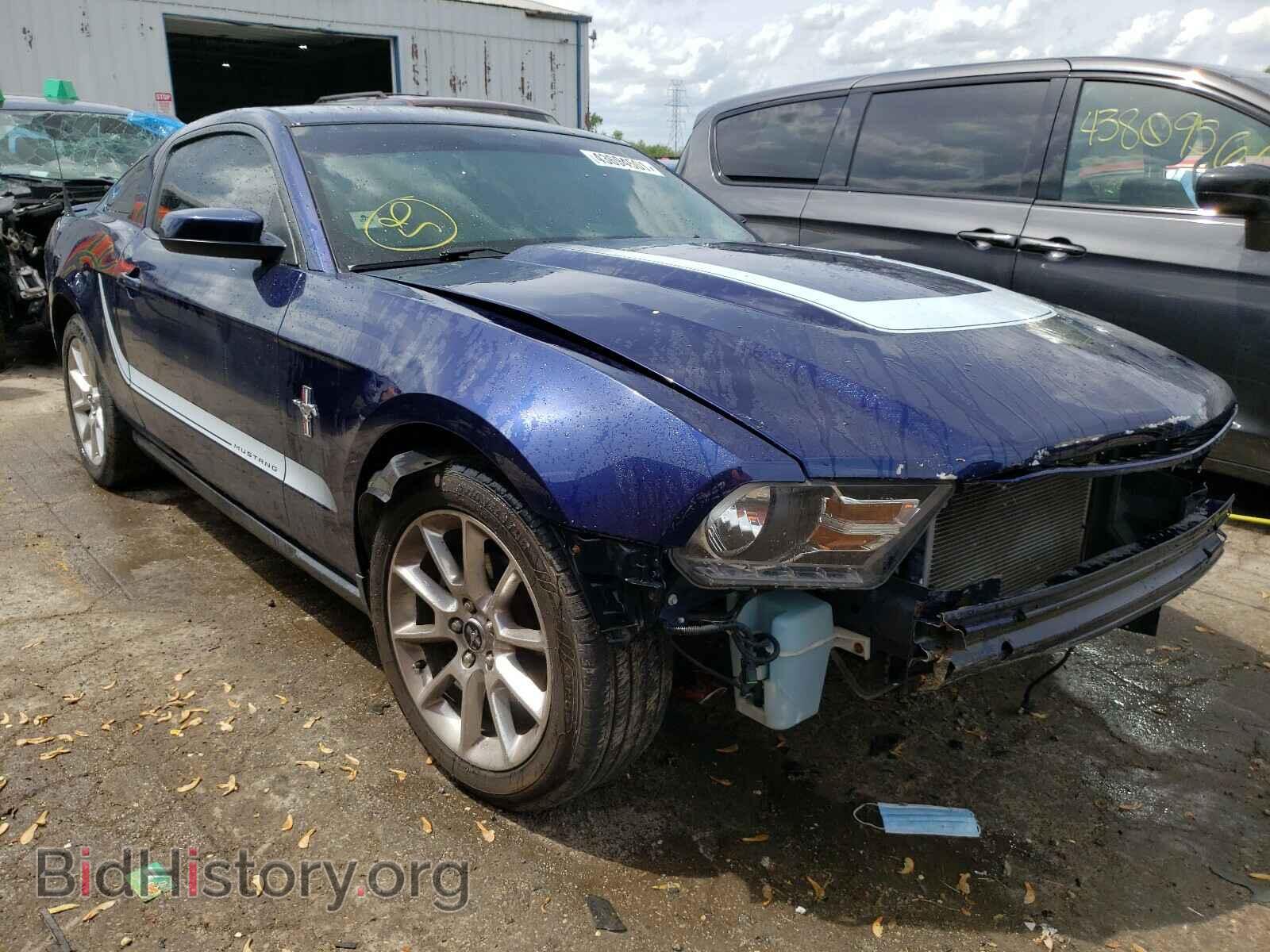 Фотография 1ZVBP8AN5A5124523 - FORD MUSTANG 2010