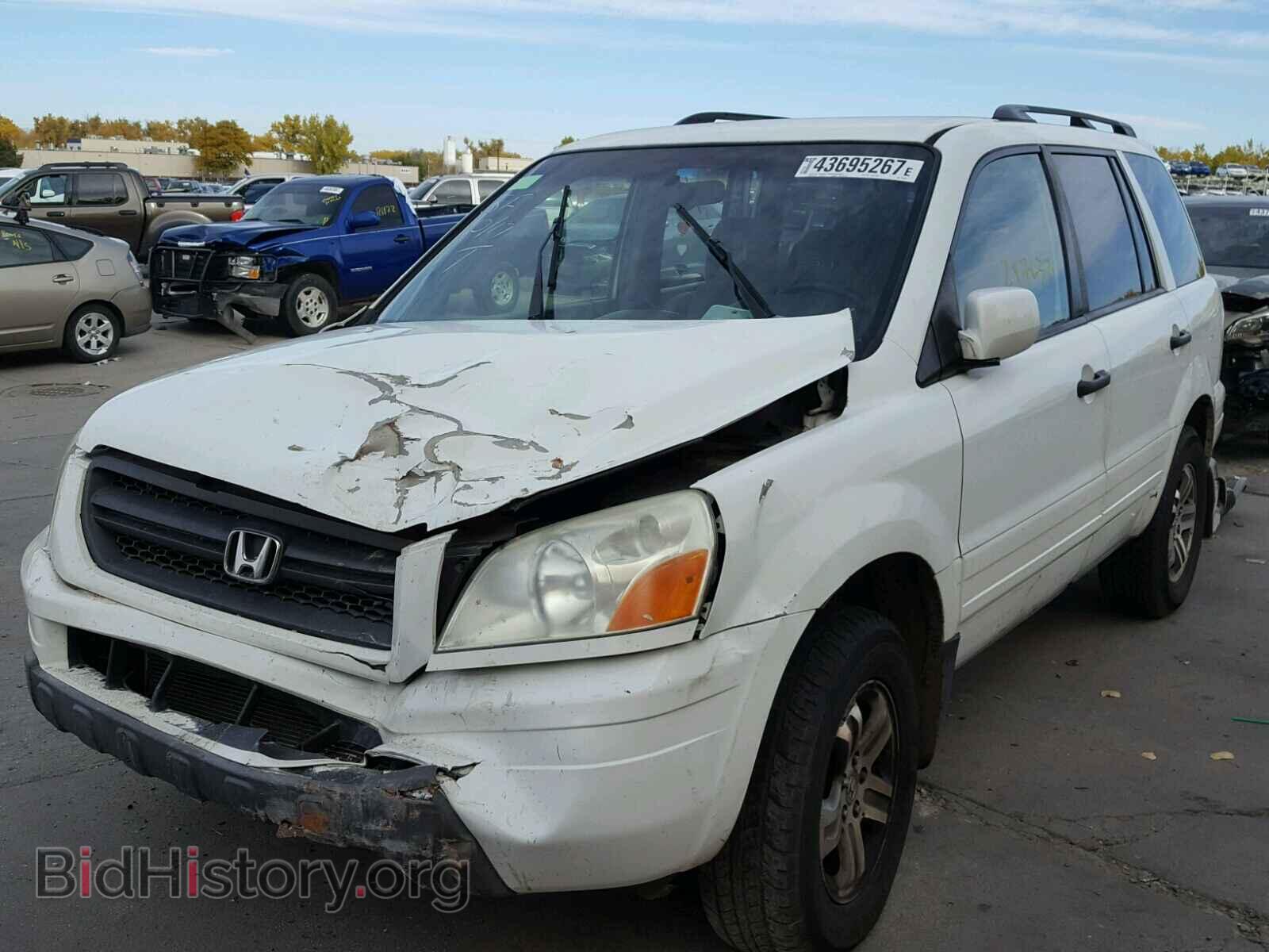 2005 HONDA PILOT - VIN: 5FNYF18435B002929 - Фото 2
