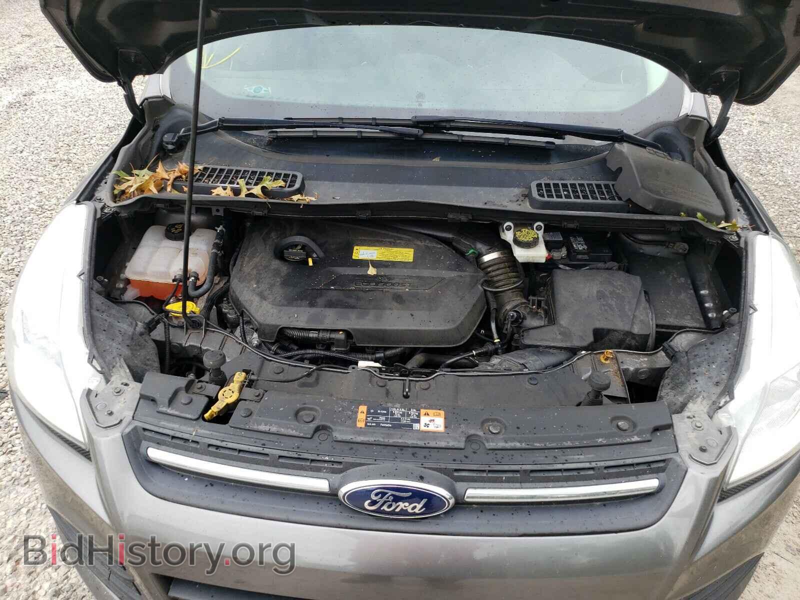 2014 FORD ESCAPE - VIN: 1FMCU0GX4EUC50308 - Photo 7