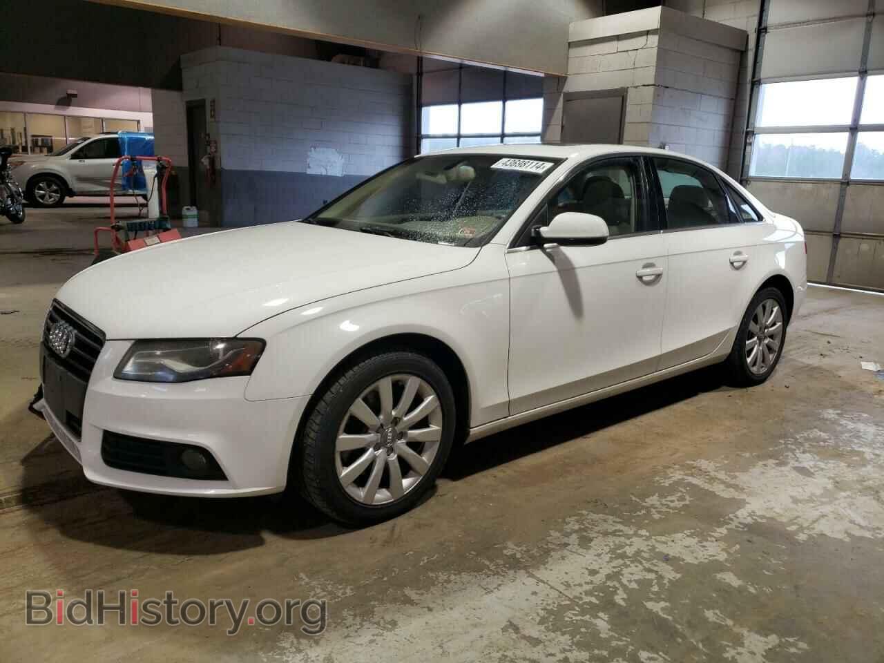 Фотография WAUFFAFL0BN033079 - AUDI A4 2011