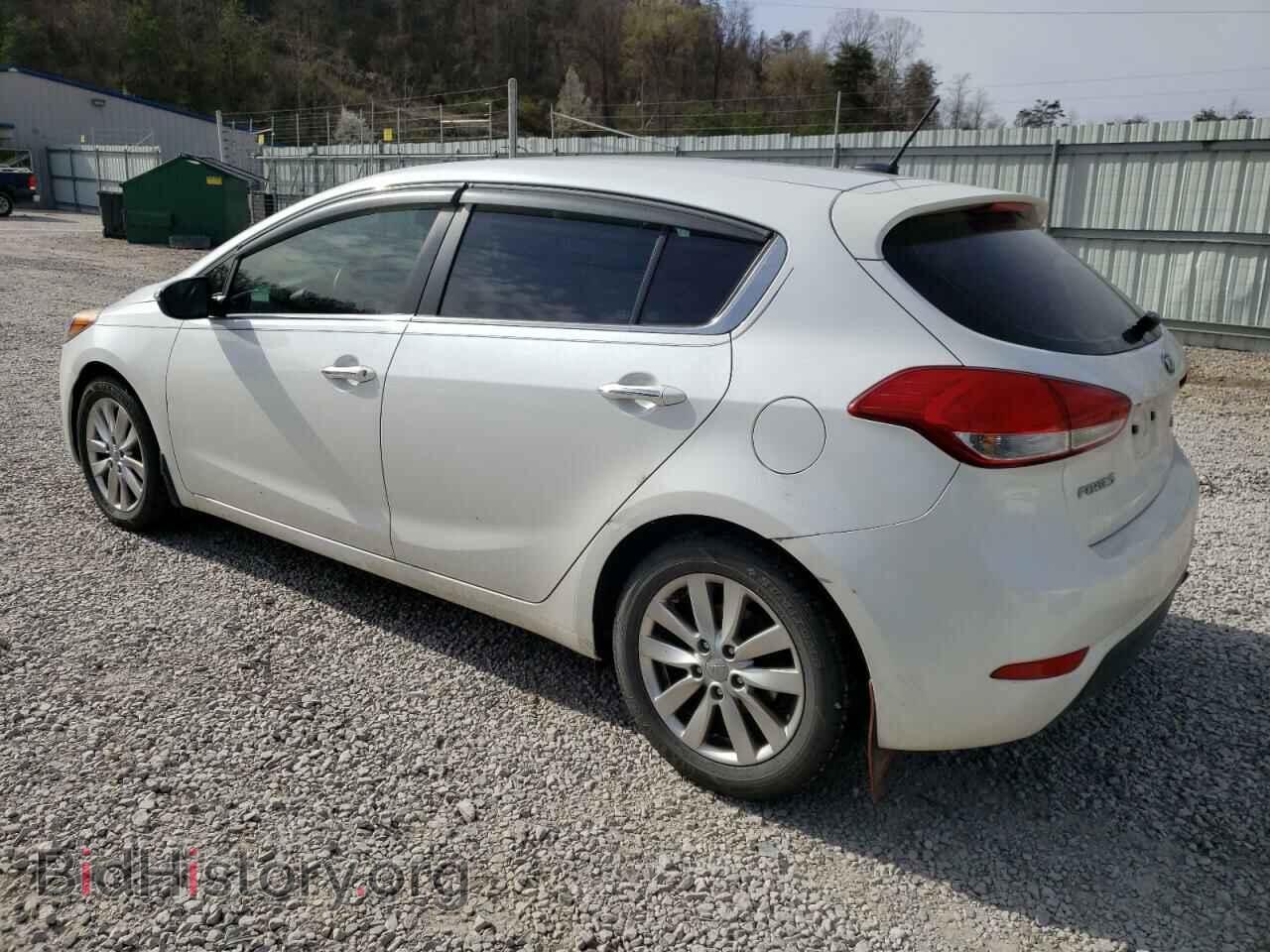 2014 KIA FORTE - VIN: KNAFX5A82E5203857 - Фото 2