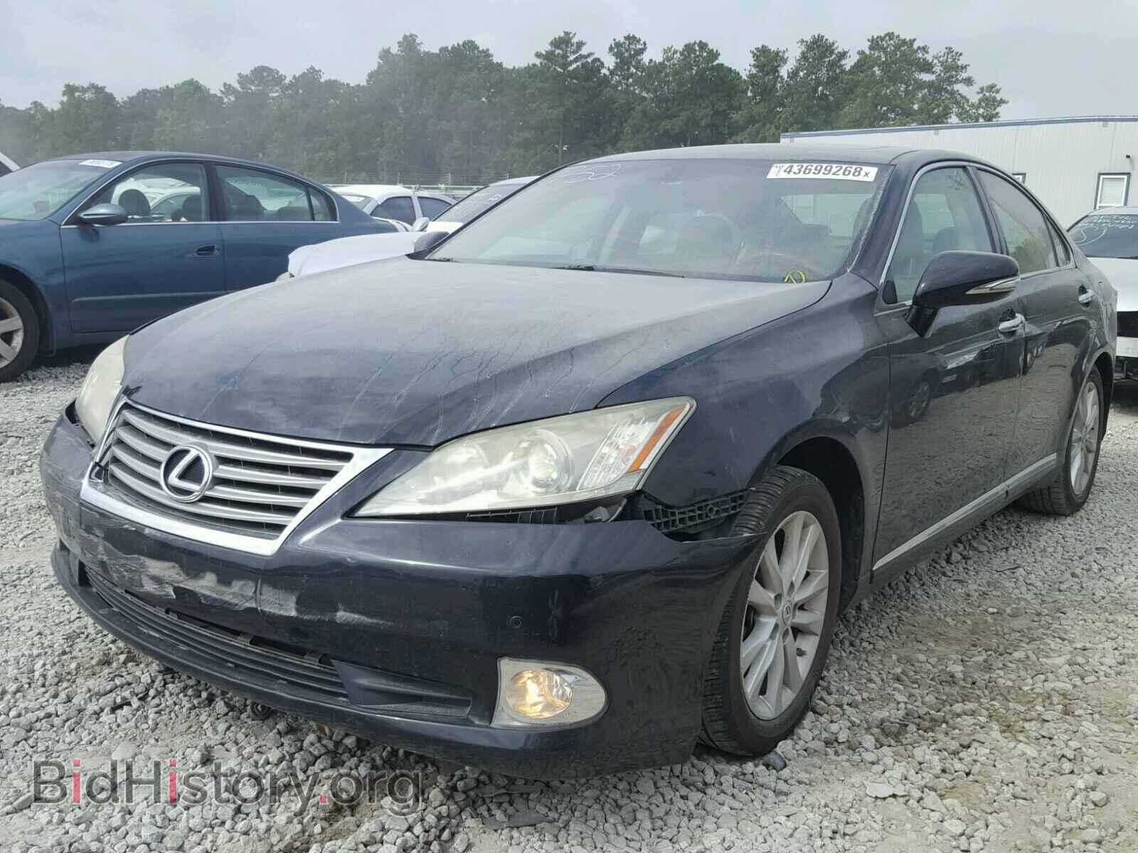 2011 LEXUS ES350 - VIN: JTHBK1EG8B2441752 - Фото 2