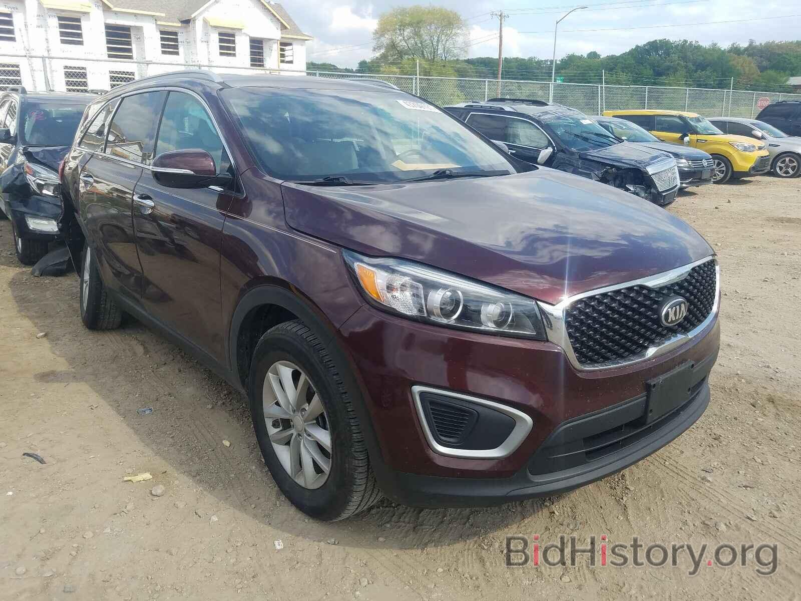 Фотография 5XYPG4A36HG242338 - KIA SORENTO 2017