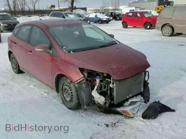 Photo 1FADP3K24DL197102 - FORD FOCUS 2013