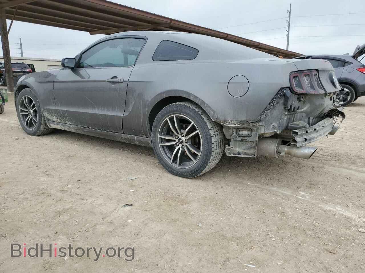 2013 FORD ALL Models - VIN: 1ZVBP8AM2D5202431 - Фото 2