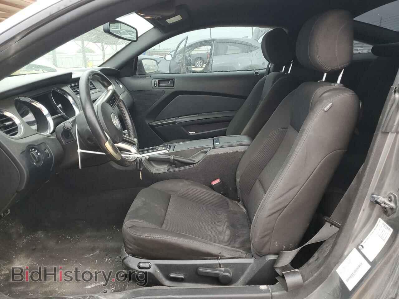 2013 FORD ALL Models - VIN: 1ZVBP8AM2D5202431 - Фото 7