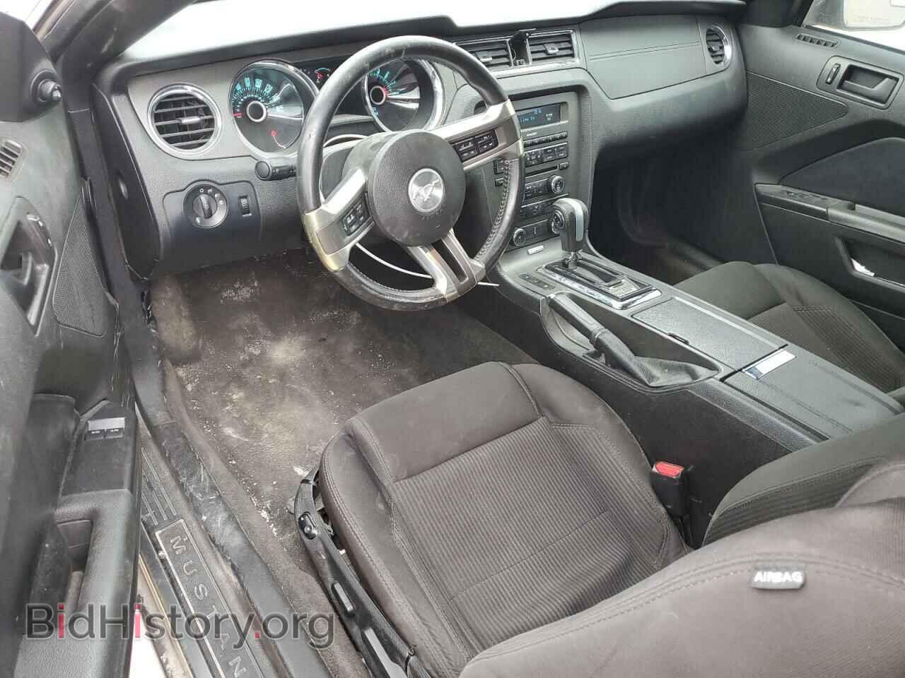 2013 FORD ALL Models - VIN: 1ZVBP8AM2D5202431 - Фото 8