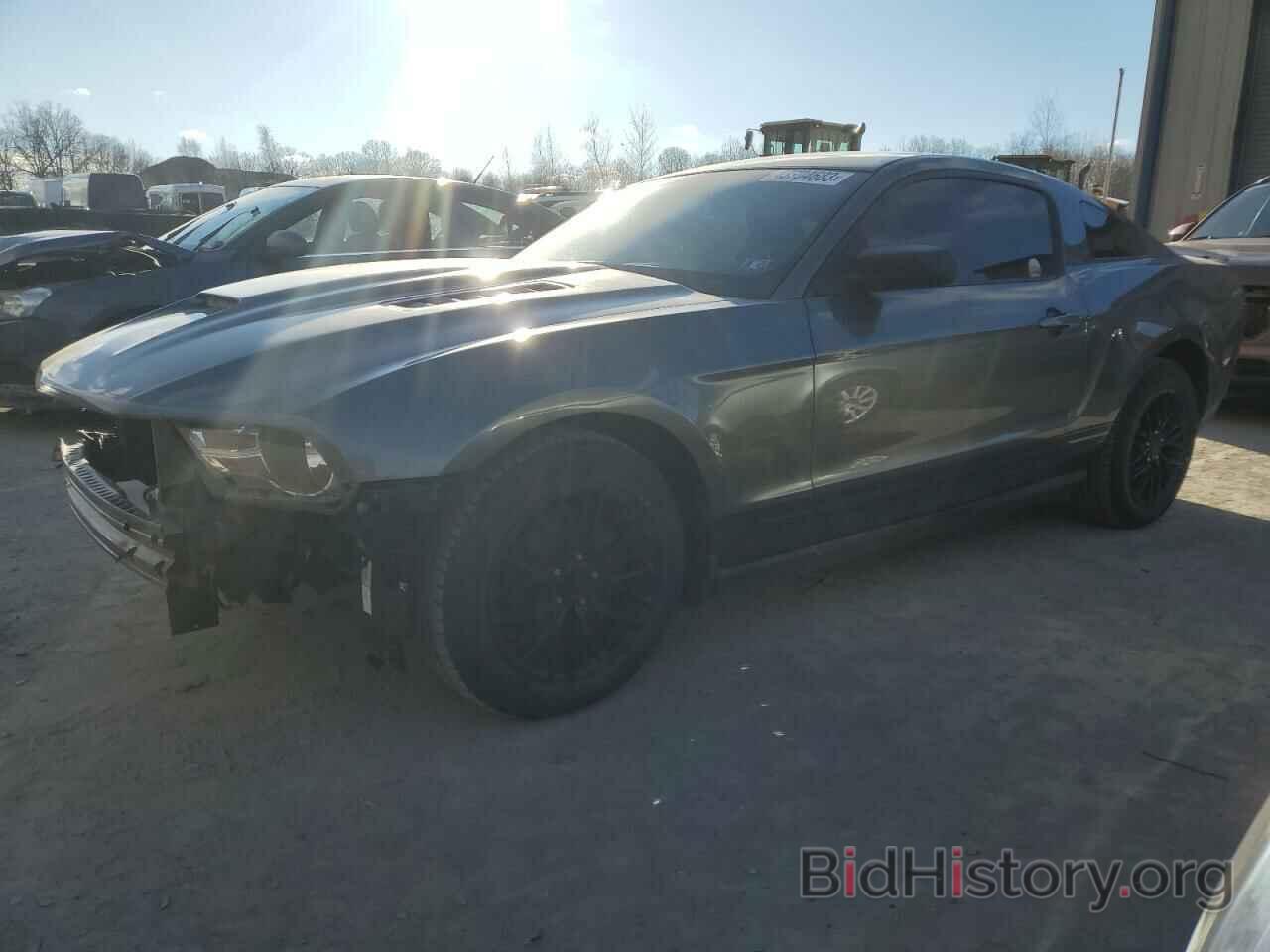 Photo 1ZVBP8AN5A5129706 - FORD MUSTANG 2010