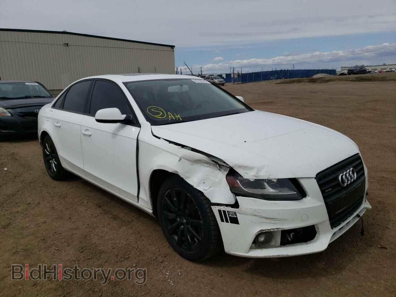 Photo WAUBFCFL9AN034451 - AUDI A4 2010