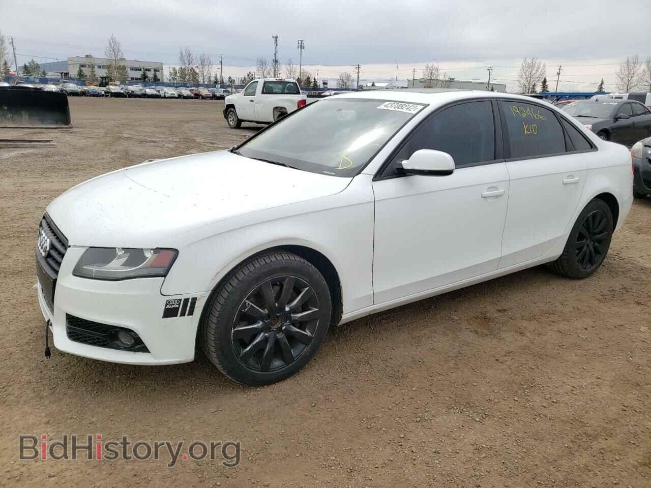 2010 AUDI A4 - VIN: WAUBFCFL9AN034451 - Photo 2