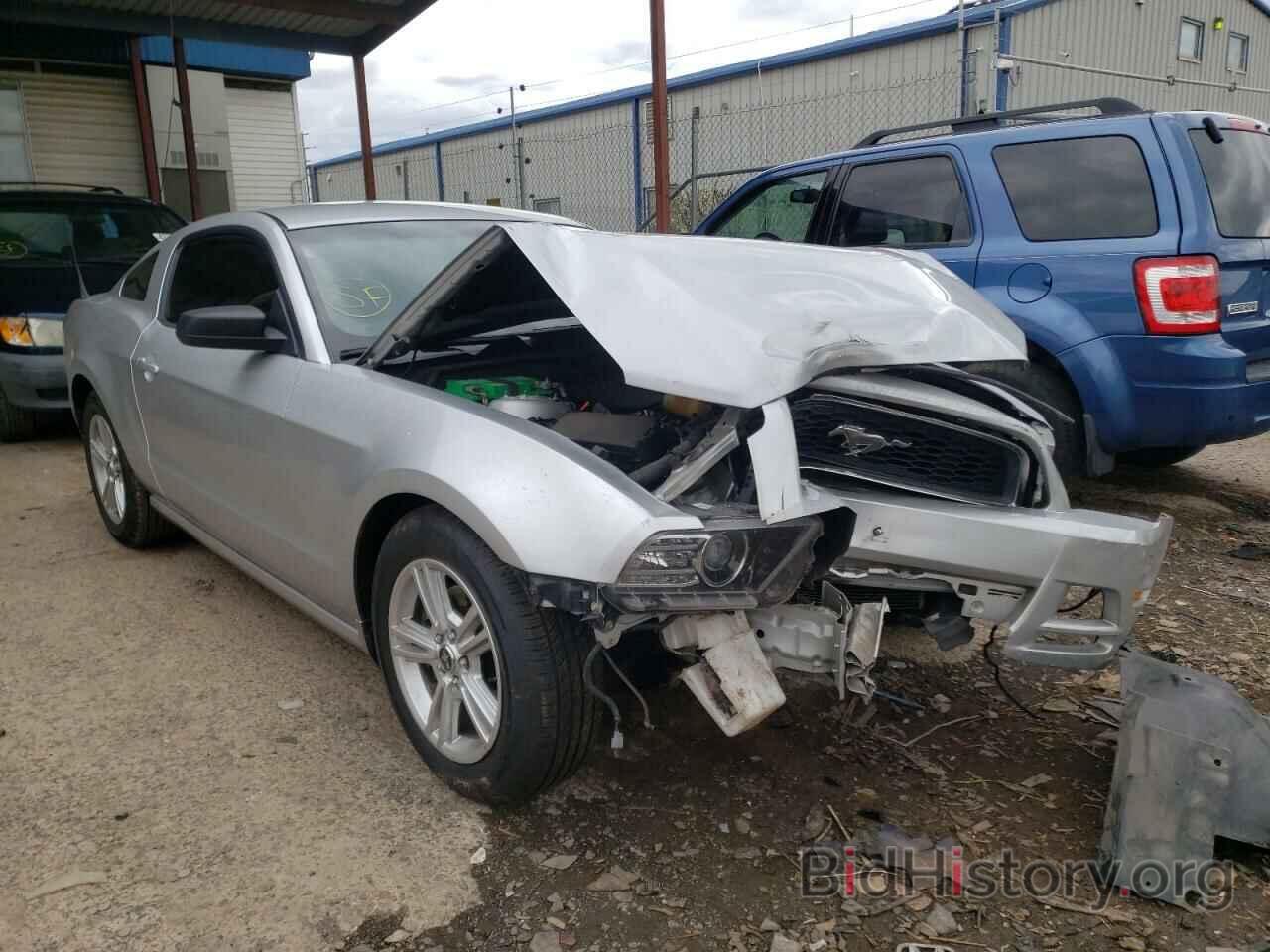 Photo 1ZVBP8AM4E5302189 - FORD MUSTANG 2014