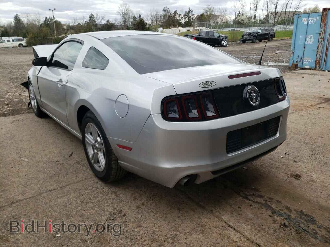2014 FORD MUSTANG - VIN: 1ZVBP8AM4E5302189 - Фото 3
