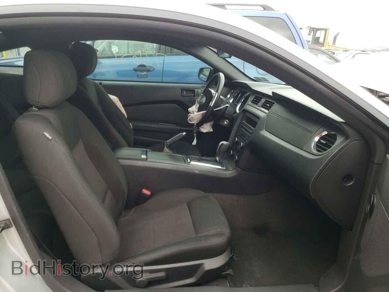 2014 FORD MUSTANG - VIN: 1ZVBP8AM4E5302189 - Фото 5