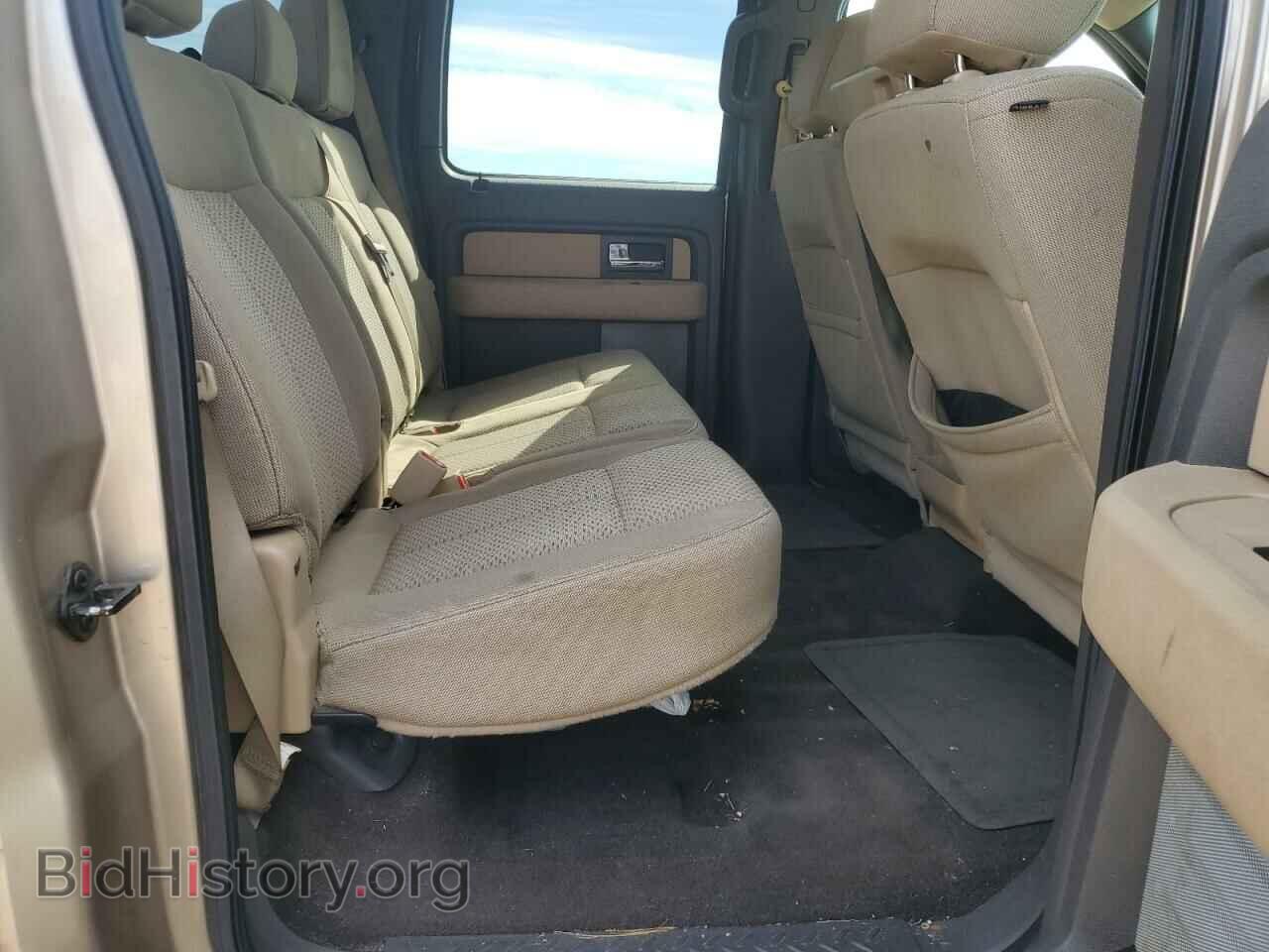 2013 FORD F-150 - VIN: 1FTFW1EF1DKG48128 - Фото 10