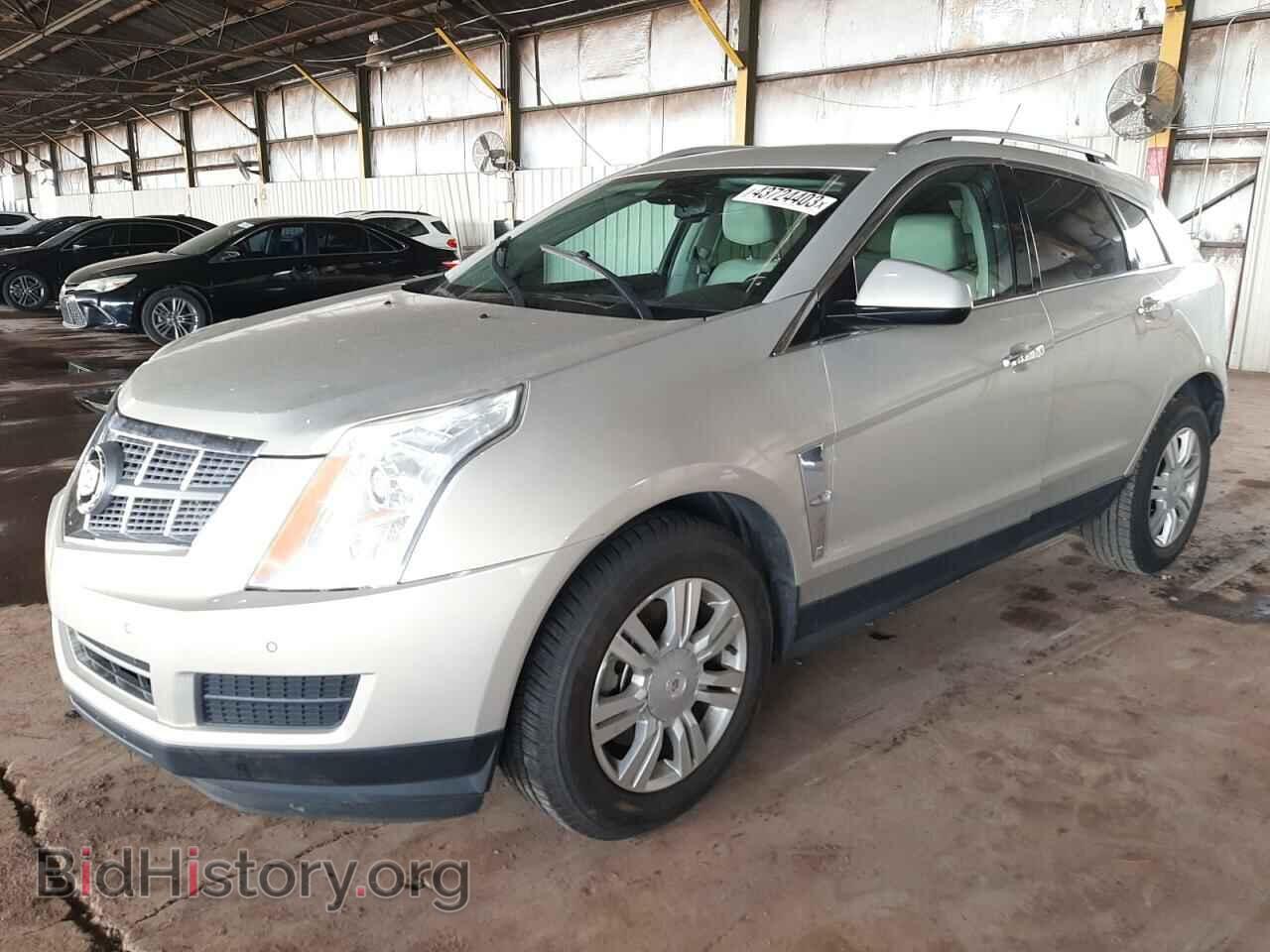 Фотография 3GYFNAE38CS574731 - CADILLAC SRX 2012