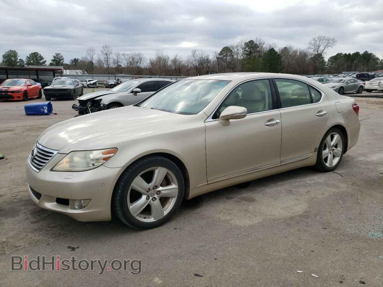Фотография JTHBL5EF1A5098405 - LEXUS LS460 2010