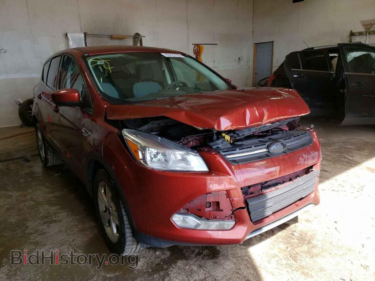 Фотография 1FMCU0GX2EUD86792 - FORD ESCAPE 2014