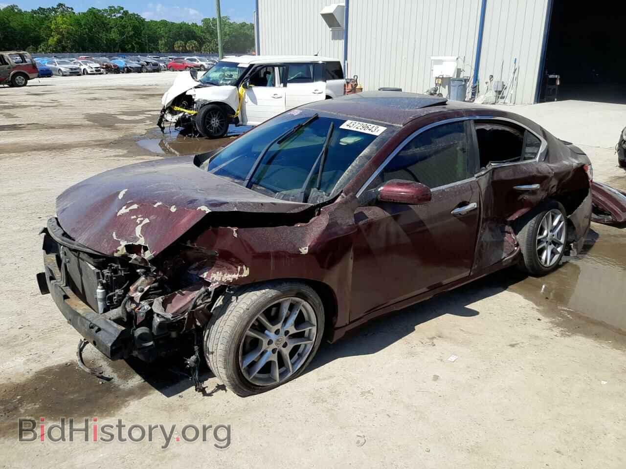 Фотография 1N4AA5AP0AC838965 - NISSAN MAXIMA 2010