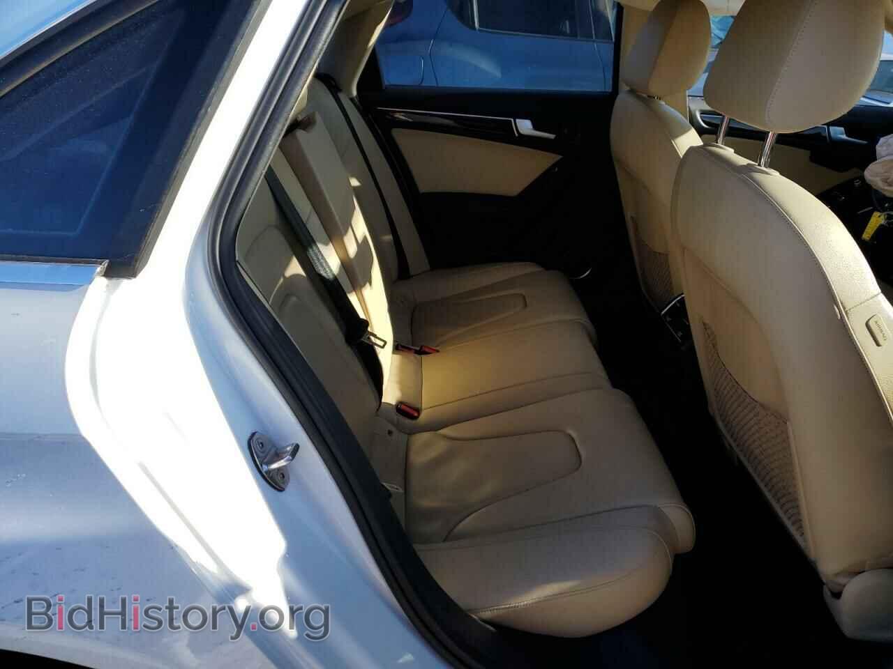 2013 AUDI A4 - VIN: WAUFFAFLXDN036235 - Фото 10