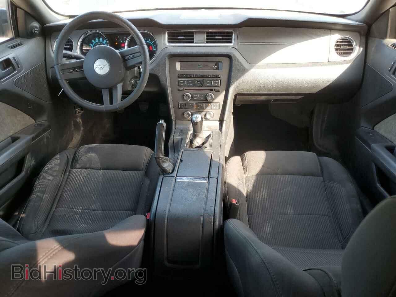 2010 FORD MUSTANG - VIN: 1ZVBP8CH8A5104743 - Фото 8