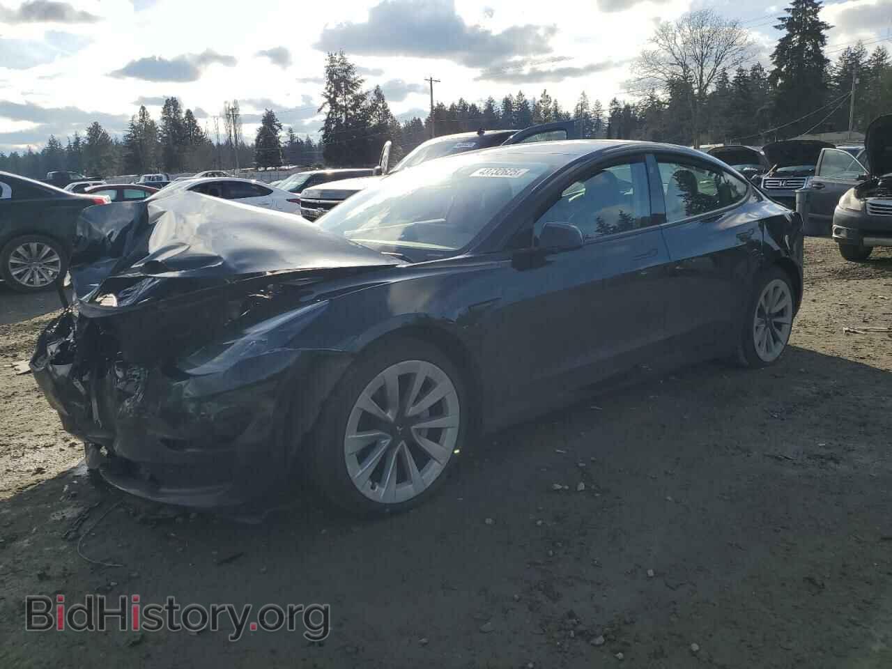 Photo 5YJ3E1EB8MF925812 - TESLA MODEL 3 2021