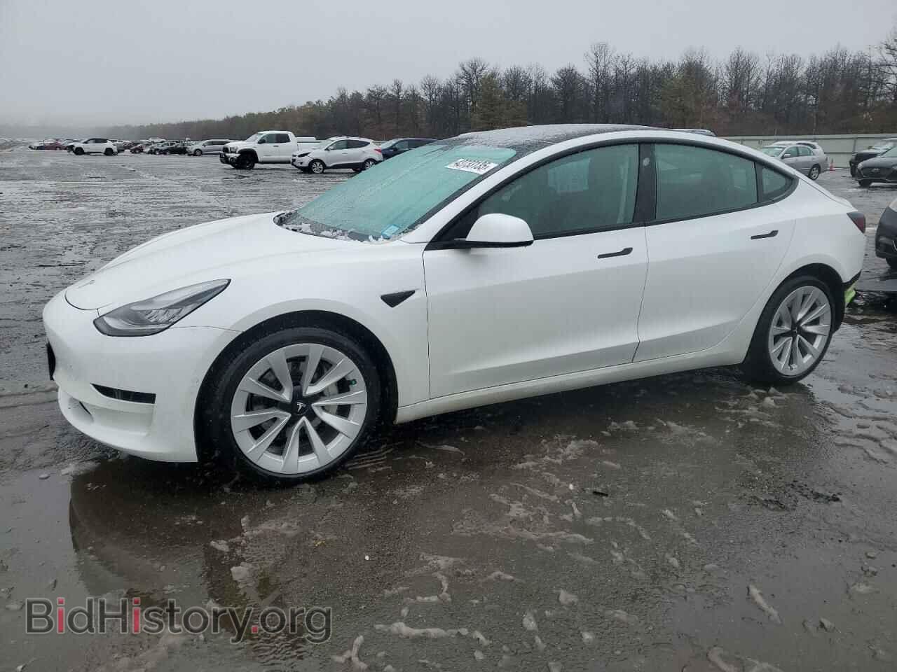 Photo 5YJ3E1EA9MF861531 - TESLA MODEL 3 2021
