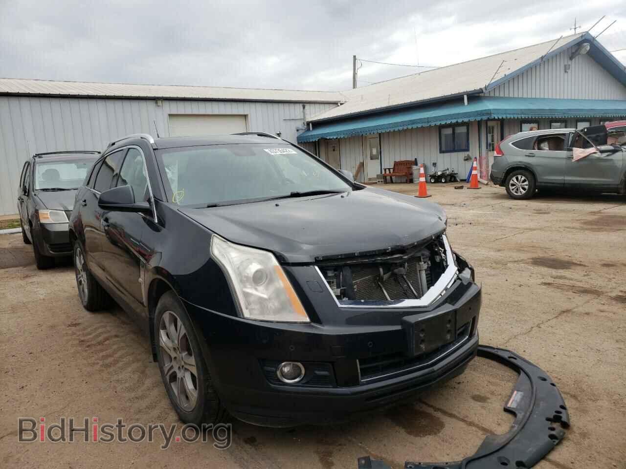 Фотография 3GYFNFE38CS509343 - CADILLAC SRX 2012