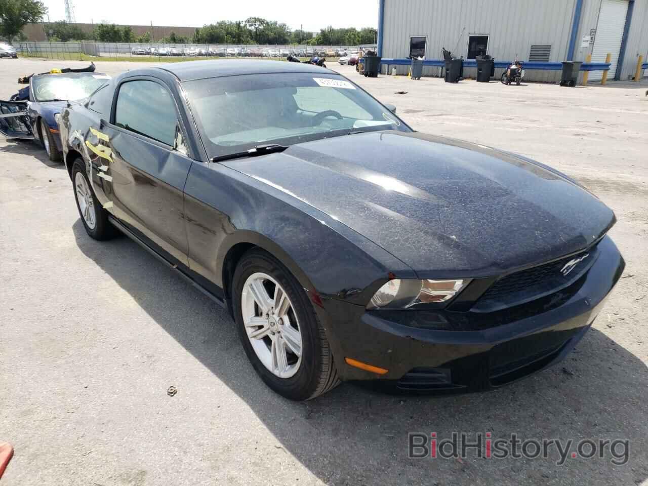 Photo 1ZVBP8AM3C5264564 - FORD MUSTANG 2012