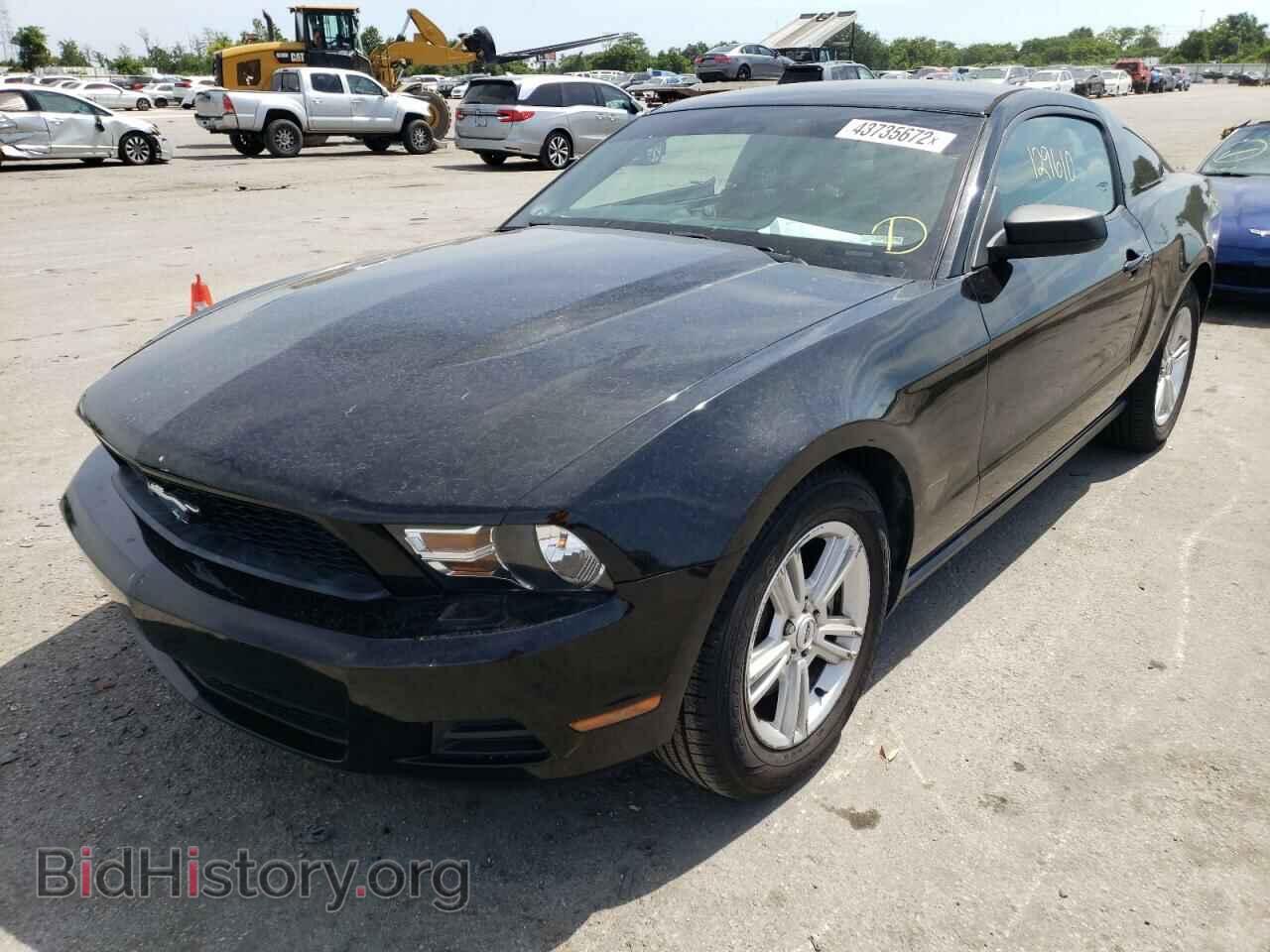 2012 FORD MUSTANG - VIN: 1ZVBP8AM3C5264564 - Фото 2