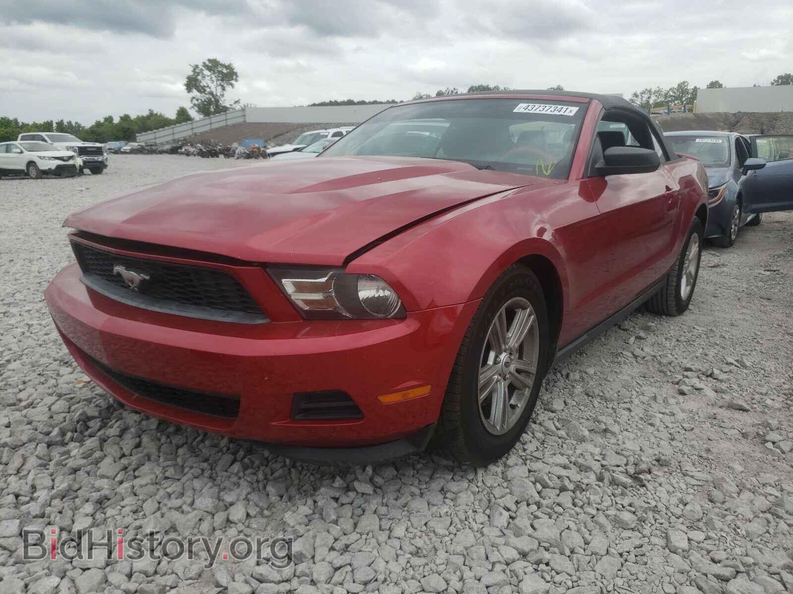 2012 FORD MUSTANG - VIN: 1ZVBP8EM8C5201888 - Фото 2