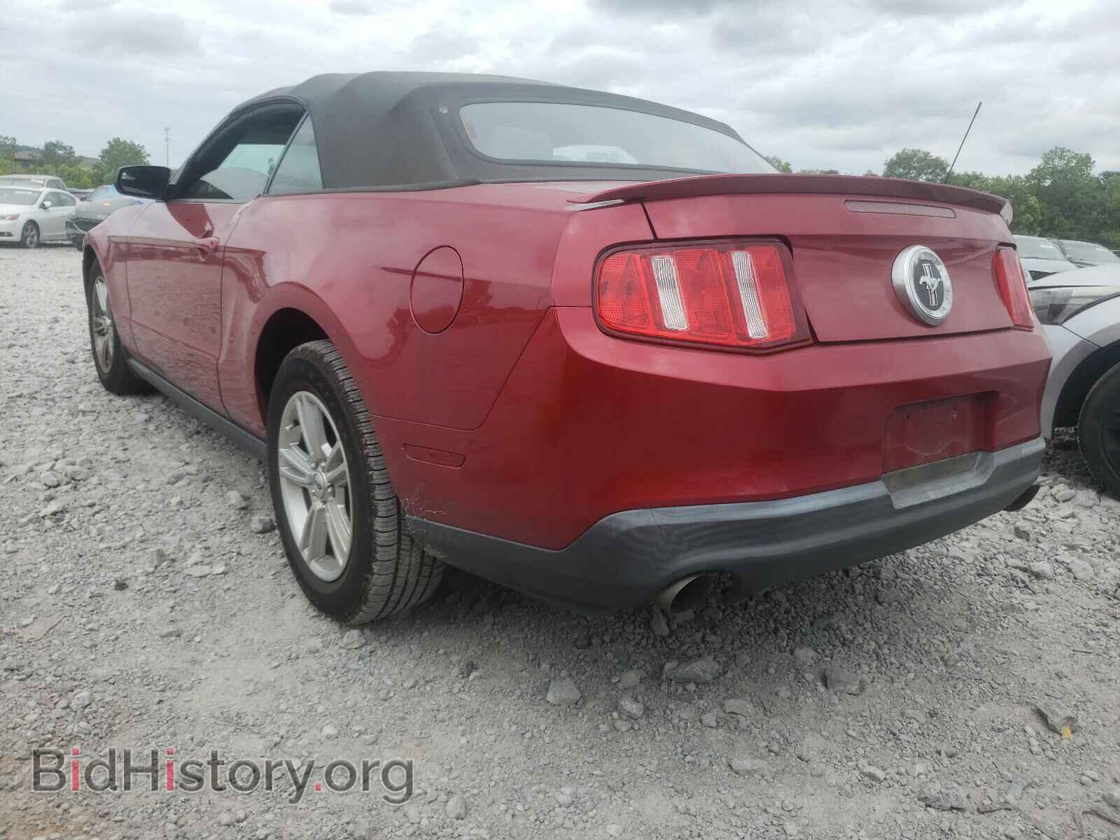 2012 FORD MUSTANG - VIN: 1ZVBP8EM8C5201888 - Фото 3