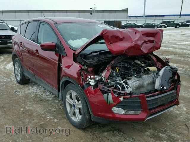 Фотография 1FMCU0GX7EUC91080 - FORD ESCAPE 2014