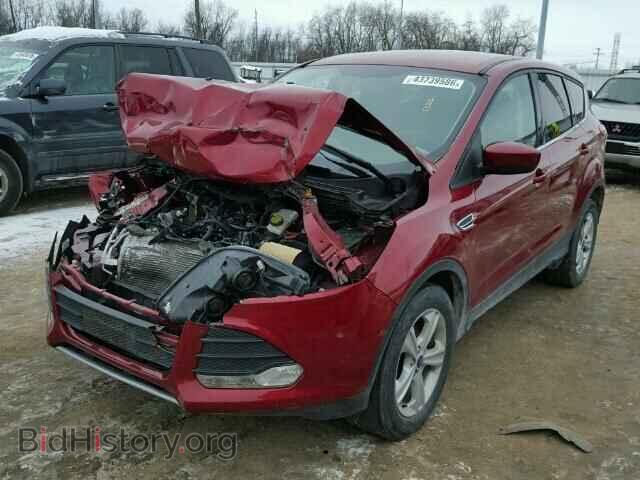 2014 FORD ESCAPE - VIN: 1FMCU0GX7EUC91080 - Фото 2