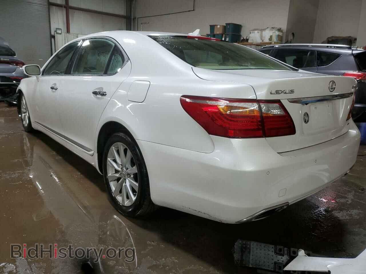 2010 LEXUS LS460 - VIN: JTHDL5EFXA5001985 - Фото 2