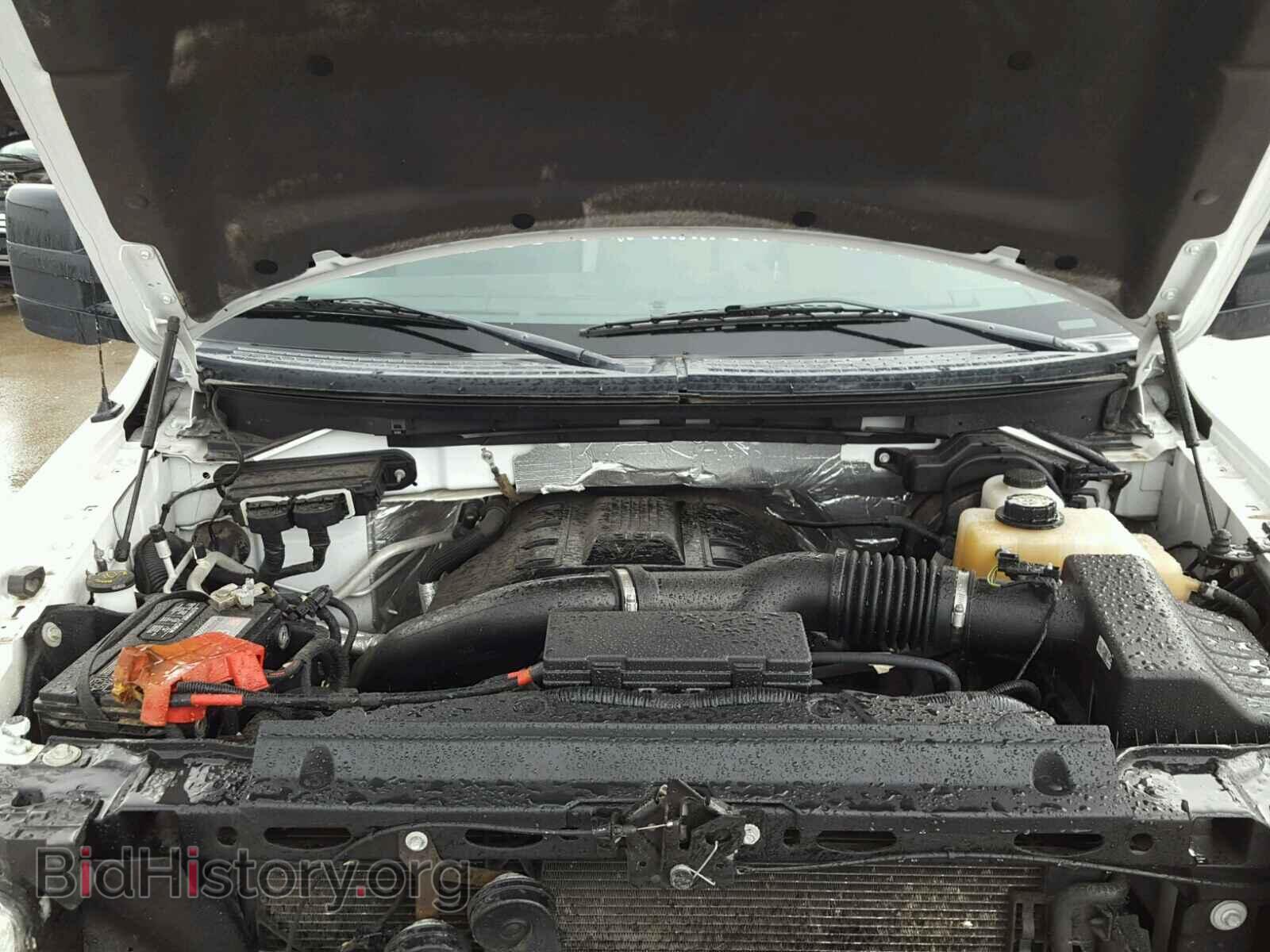2013 FORD F150 - VIN: 1FTFX1ET0DKE95504 - Фото 7