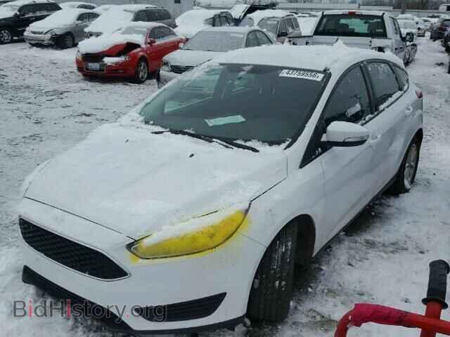 2016 FORD FOCUS - VIN: 1FADP3K21GL230903 - Фото 2