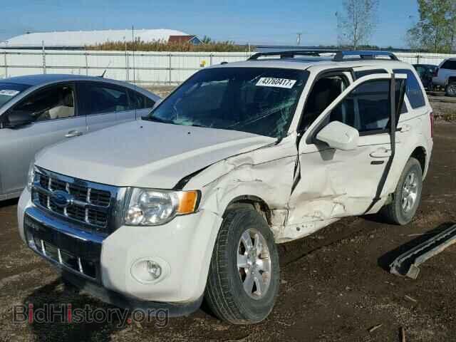 2011 FORD ESCAPE - VIN: 1FMCU9EG6BKA82525 - Фото 2