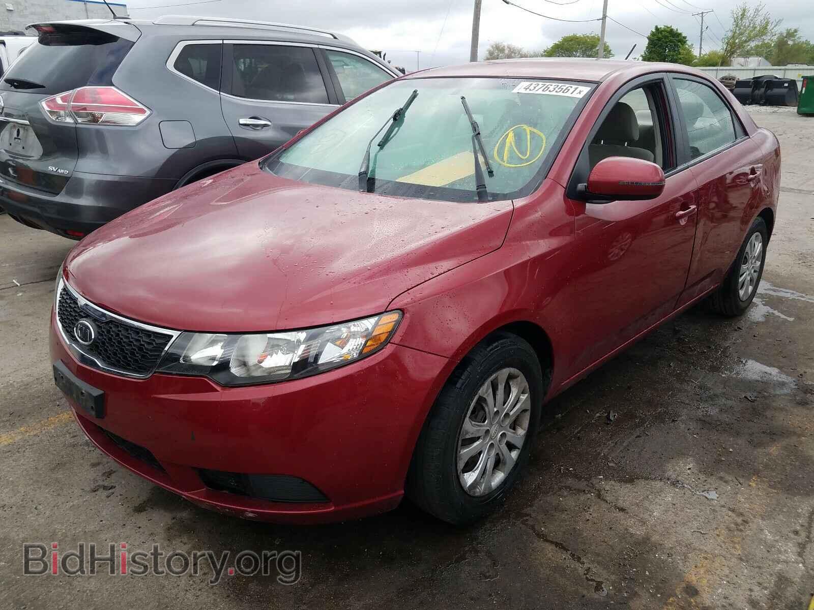 2011 KIA FORTE - VIN: KNAFU4A24B5330877 - Фото 2