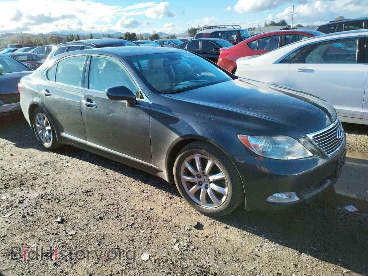 2009 LEXUS LS460 - VIN: JTHBL46F795090281 - Фото 4