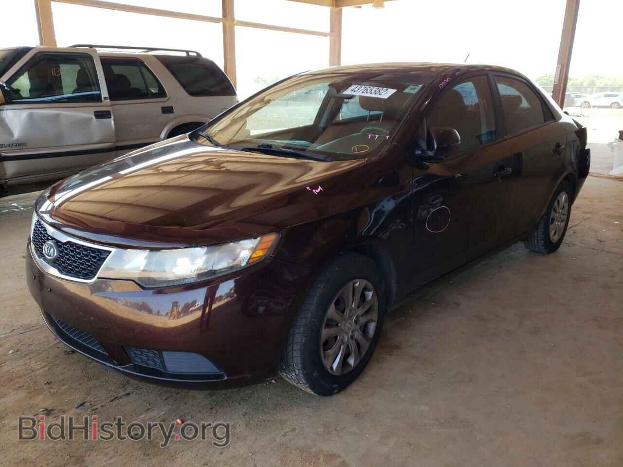 2011 KIA FORTE - VIN: KNAFU4A25B5367579 - Photo 2
