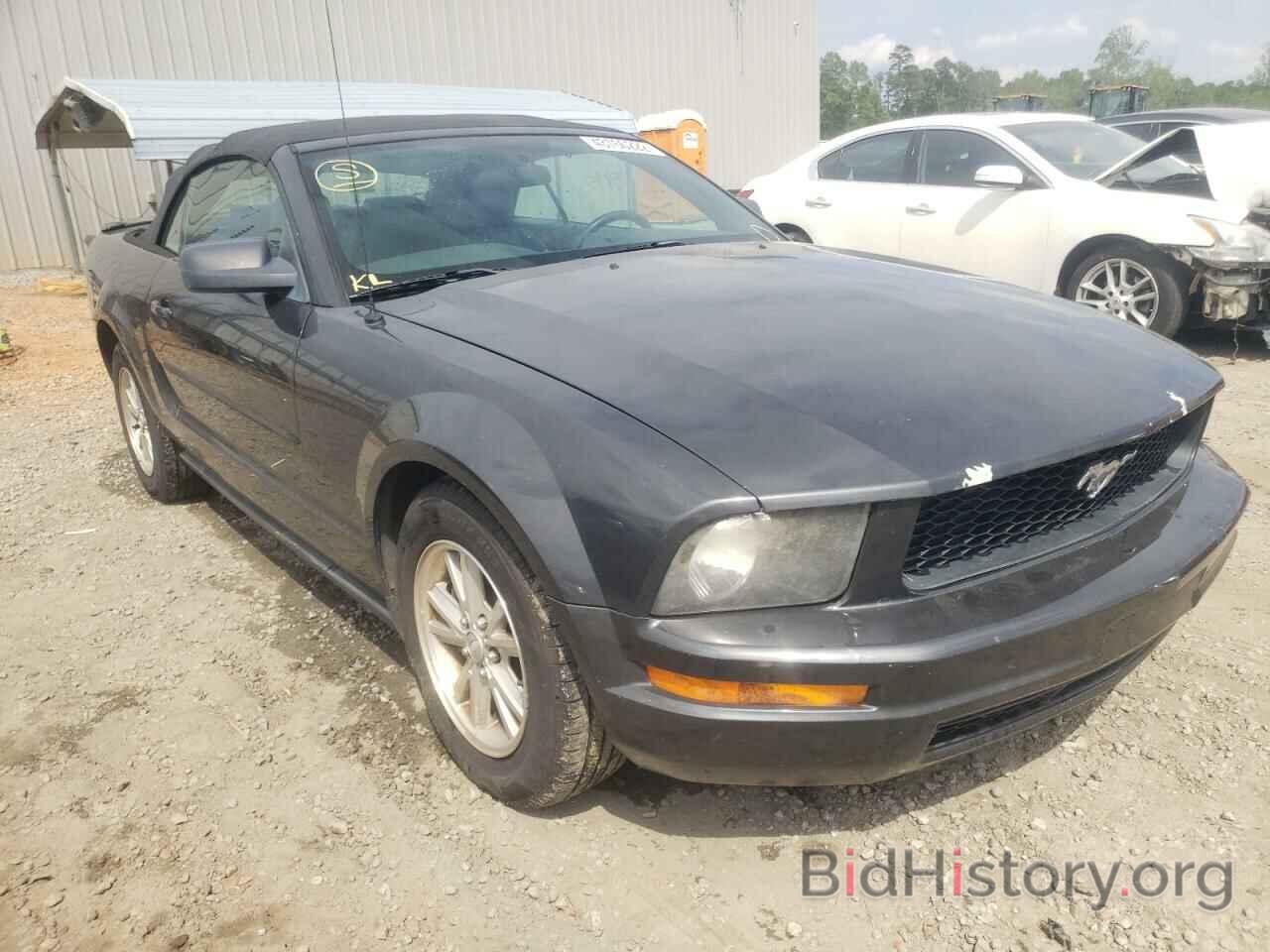 Photo 1ZVHT84N185155408 - FORD MUSTANG 2008