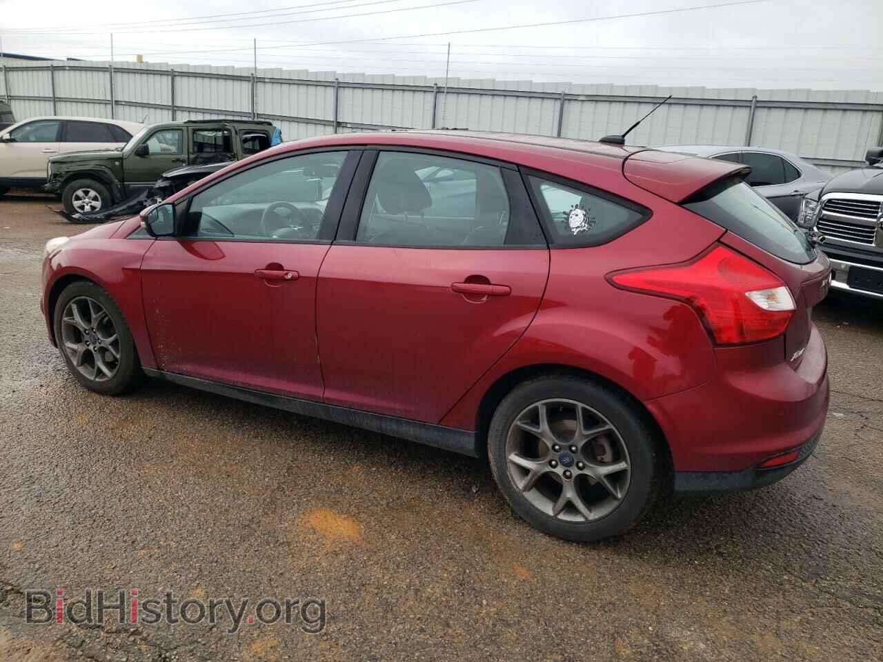 2013 FORD FOCUS - VIN: 1FADP3K29DL344451 - Фото 2