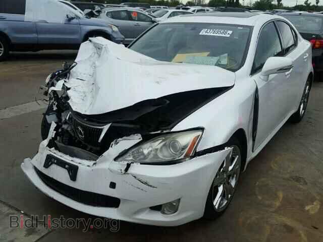 2009 LEXUS IS250 - VIN: JTHBK262695106765 - Фото 2