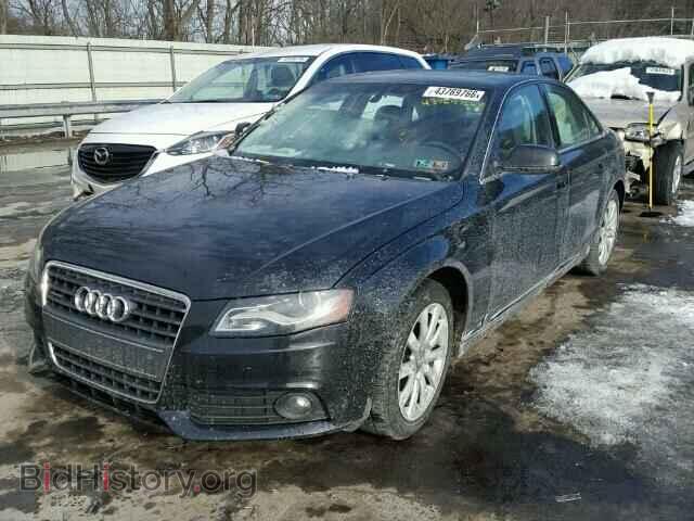 2011 AUDI A4 - VIN: WAUFFBFL6BN016065 - Фото 2