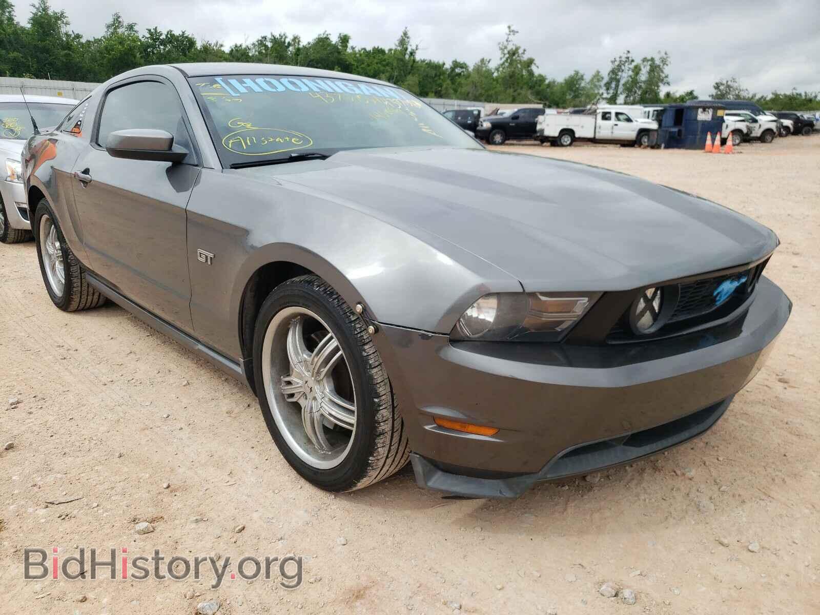 Фотография 1ZVBP8CH4A5146097 - FORD MUSTANG 2010