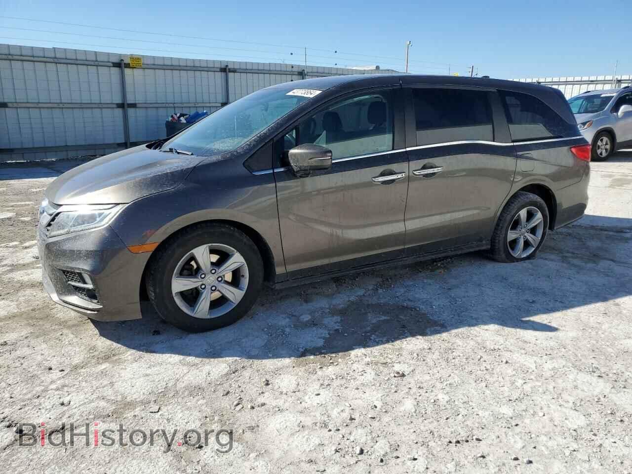 Фотография 5FNRL6H52KB104253 - HONDA All Models 2019